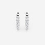 Clara - Timeless Oval Design Earrings