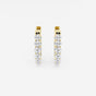 Clara - Timeless Oval Design Earrings