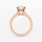 Sofia - Hidden Halo Brilliance Engagement Ring