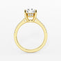 Sofia - Hidden Halo Brilliance Engagement Ring